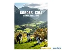 Border koli Ajnstajn medju psima Novo