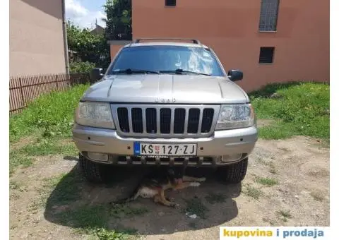 Jeep Grand Cherokee 3.1 TD - 14/14