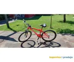 mountain bike (planinski bicikl)