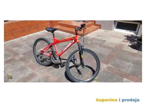 mountain bike (planinski bicikl) - 3/6