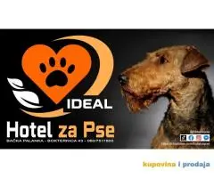 Hotel za pse Ideal