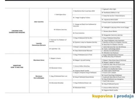 Izuzetno kvalitetni stenci Njufaundlendera traze novi dom - 3/10